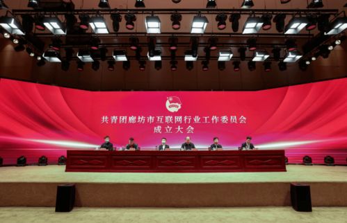 共青團廊坊市互聯網行業工作委員會正式成立，為本地企業網站建設注入青春動能